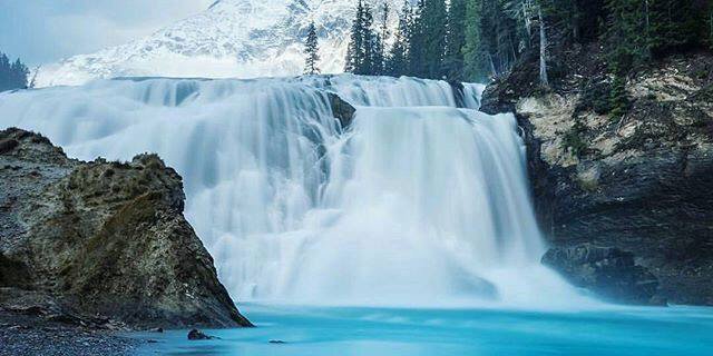 Scott steindorff banner