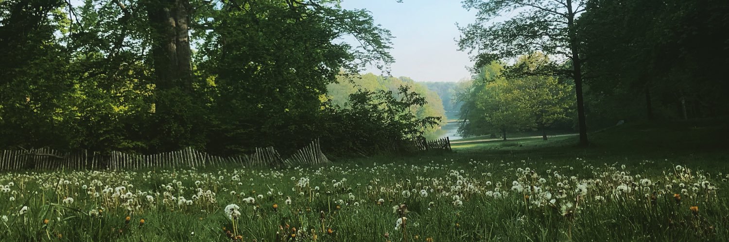 schaerjan's profile banner image