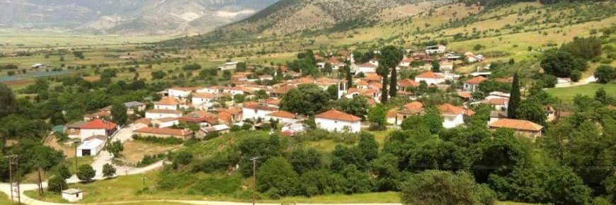 Dimitriadis Iraklis banner