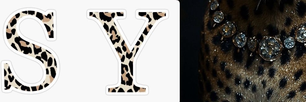 sencanyemis's profile banner image