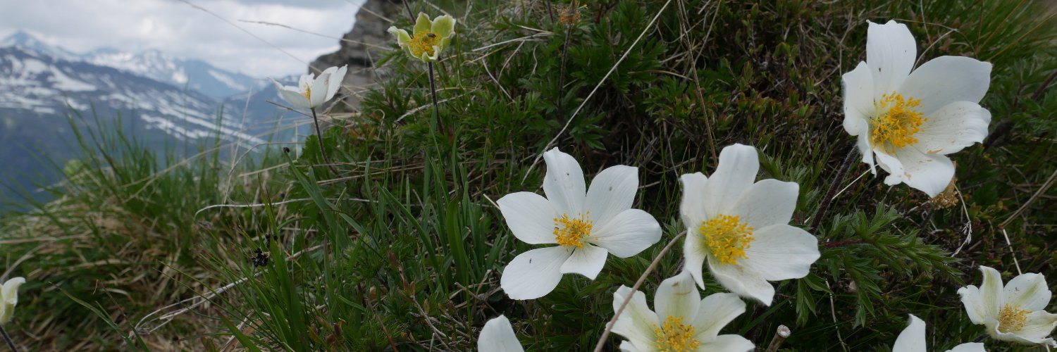 Karin van Boxtel banner