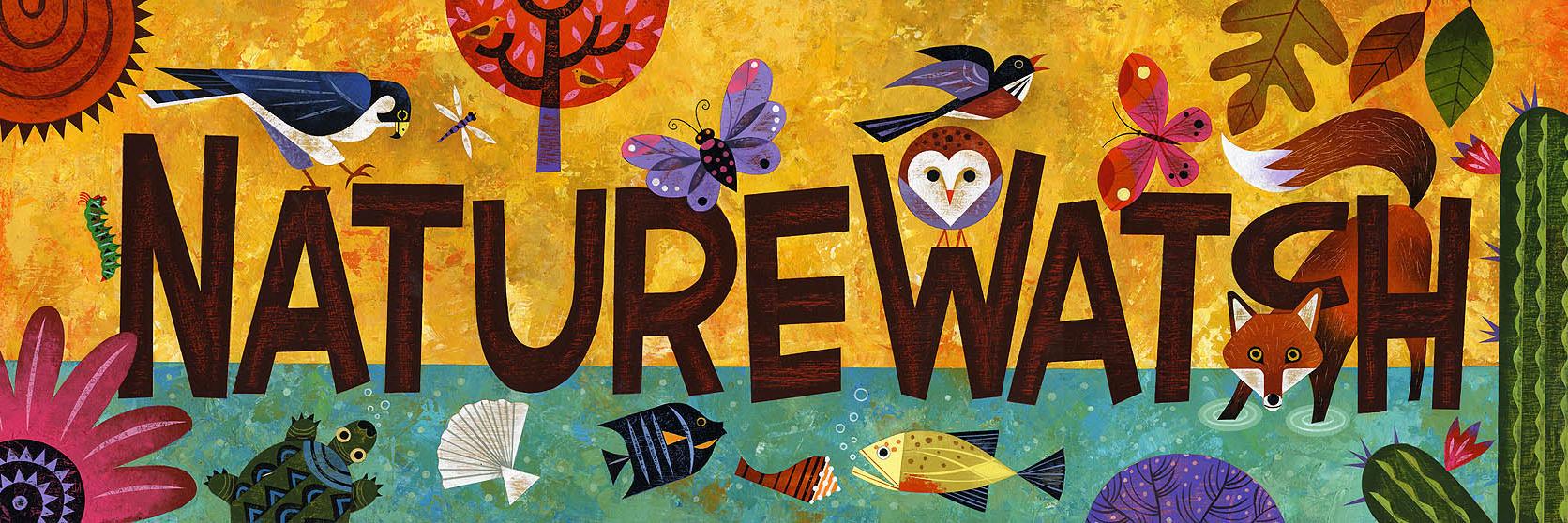 FSNatureWatch's profile banner image