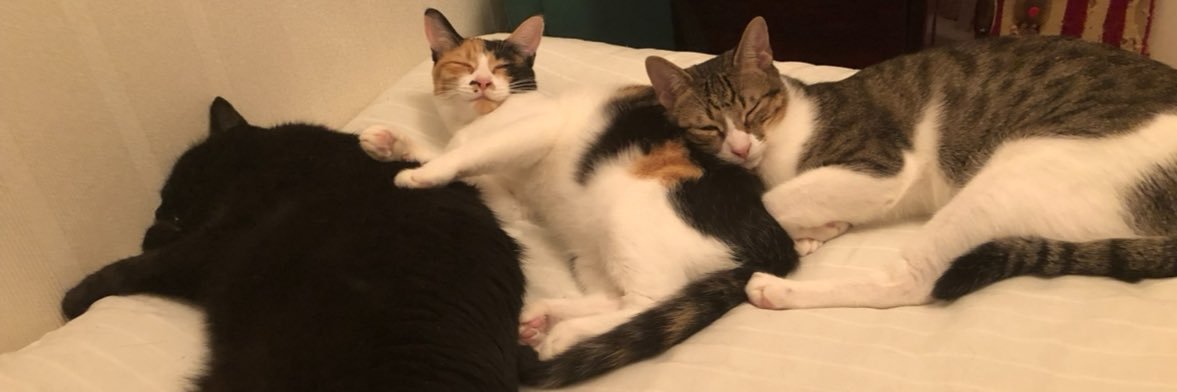 I.N.A@MinorityGame banner