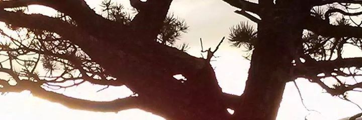 Nodin01's profile banner image