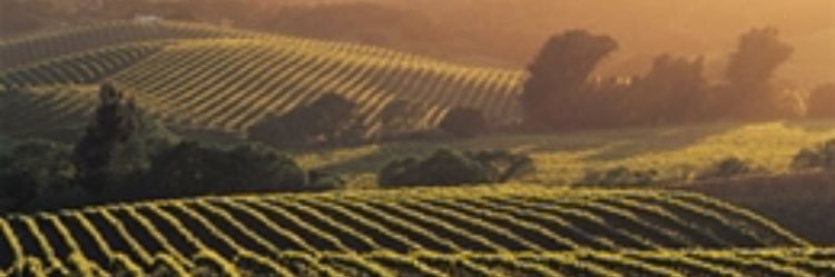 Foleytastic's profile banner image