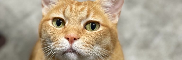 t_threeway's profile banner image