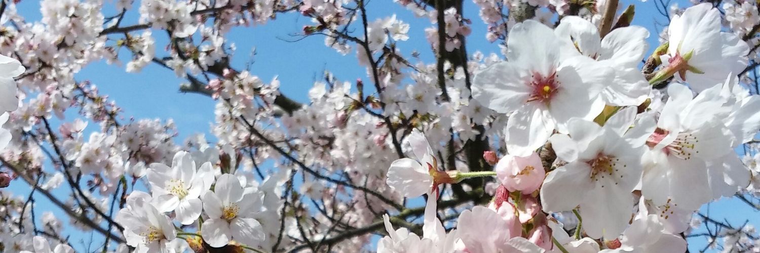 nonchi5296's profile banner image