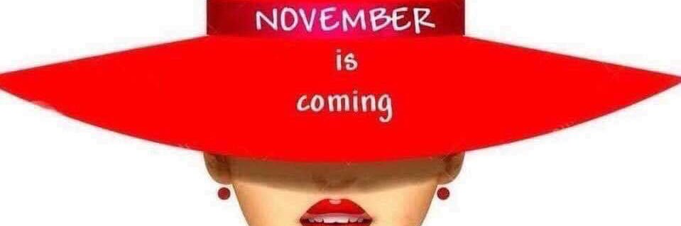 Brenda Potter🇺🇸🇺🇸 banner