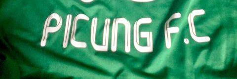 PicungOfficial's profile banner image