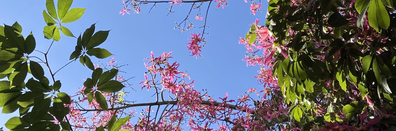 Bvega87's profile banner image