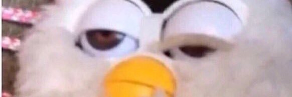 Cecily Hitchcock banner