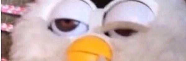 cechitch Profile Banner