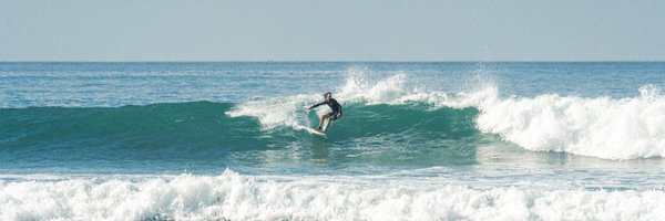 sanderfish Profile Banner