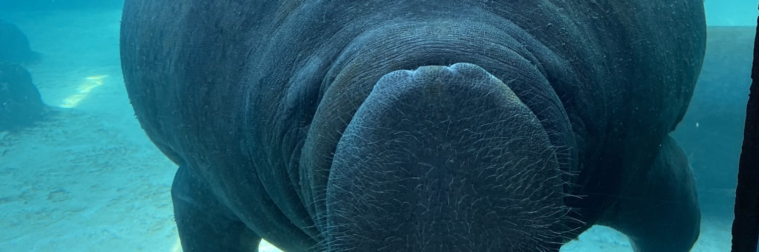 ChairForceOnee's profile banner image
