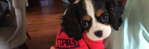llbenjamin2's profile banner image
