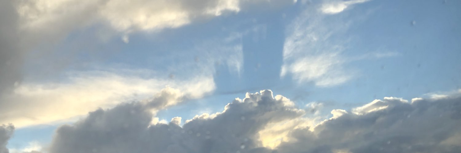 SashaAppleby's profile banner image
