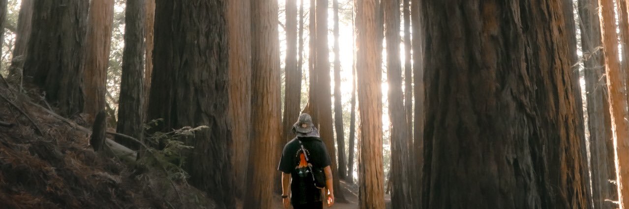 youhellaugly's profile banner image