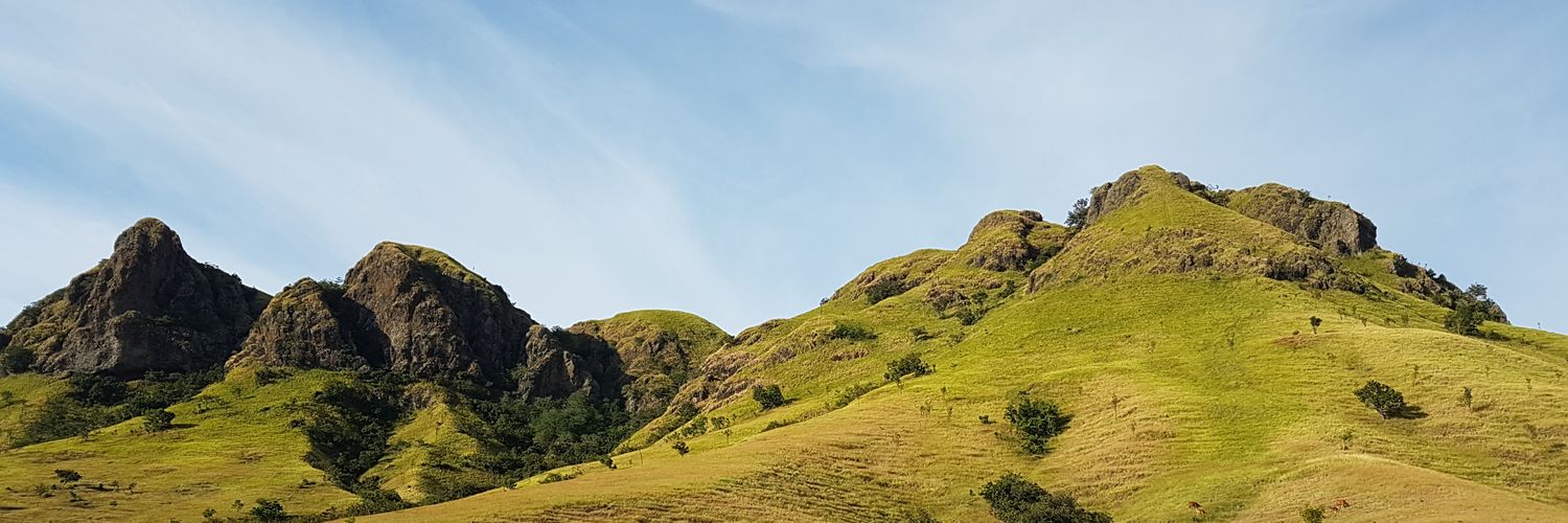 priskatindea's profile banner image