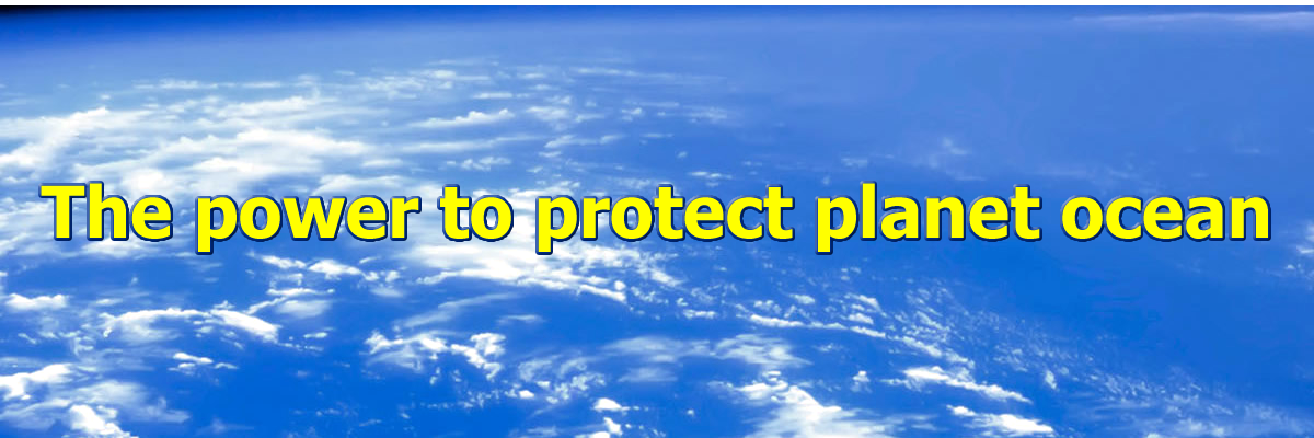 HavebluePower's profile banner image