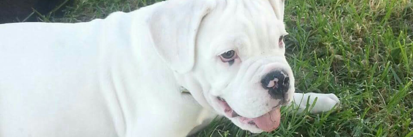 JonhyDelgado3's profile banner image