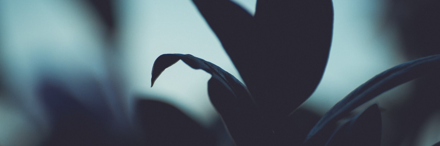 brettinternet's profile banner image