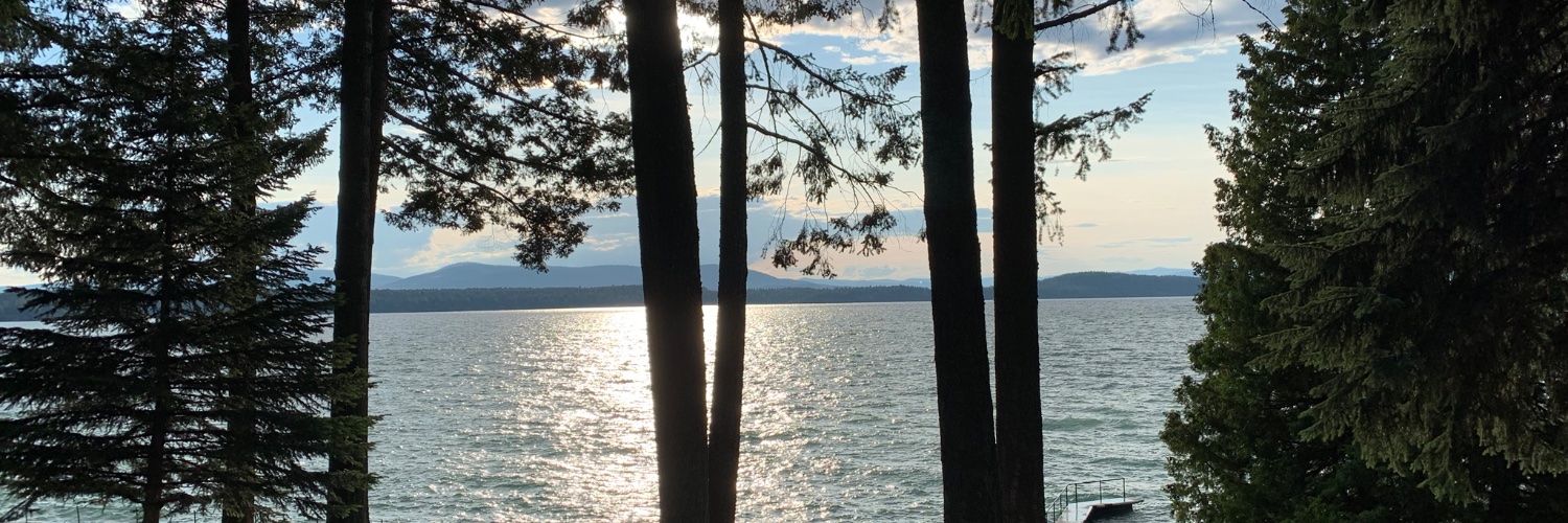 Rod__Hawkins's profile banner image