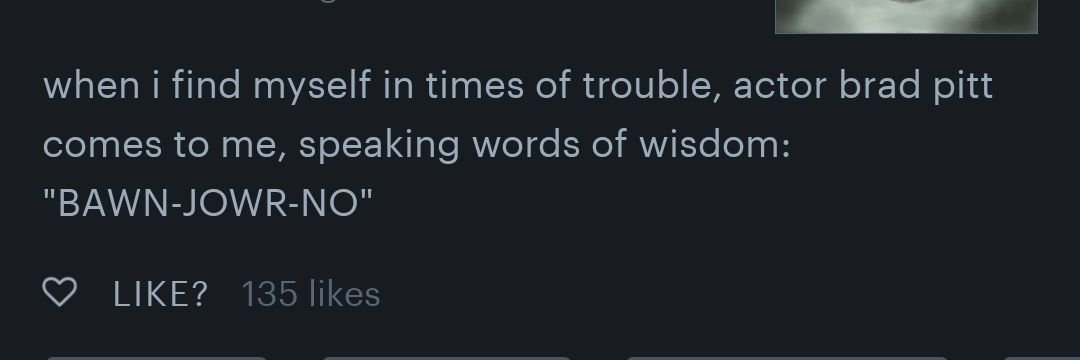 ♀ felicia ♀ banner