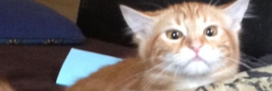 seanplara's profile banner image