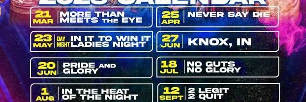 Pro Wrestling King banner