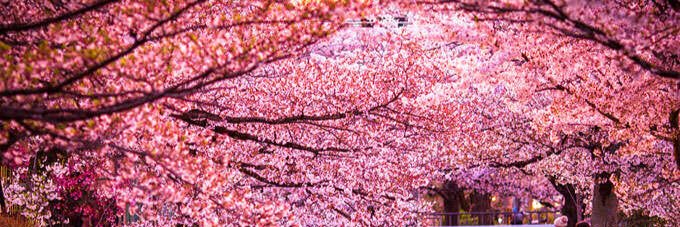 ZVDW_'s profile banner image