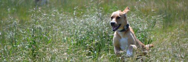 FlashGordon12 Profile Banner