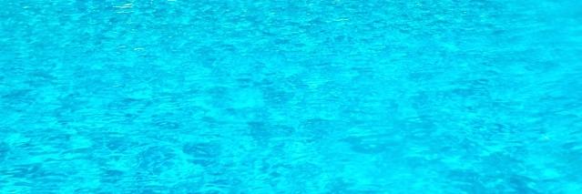 SwimCakeStudies's profile banner image