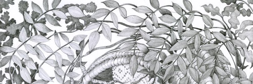MoreLikeTrees's profile banner image