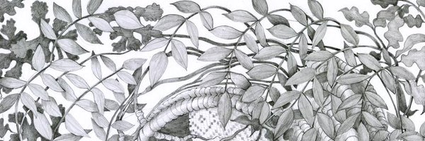 MoreLikeTrees Profile Banner