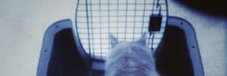 towB's profile banner image