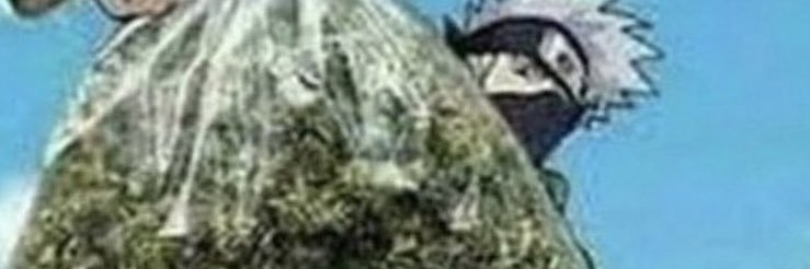 beezlebub116's profile banner image