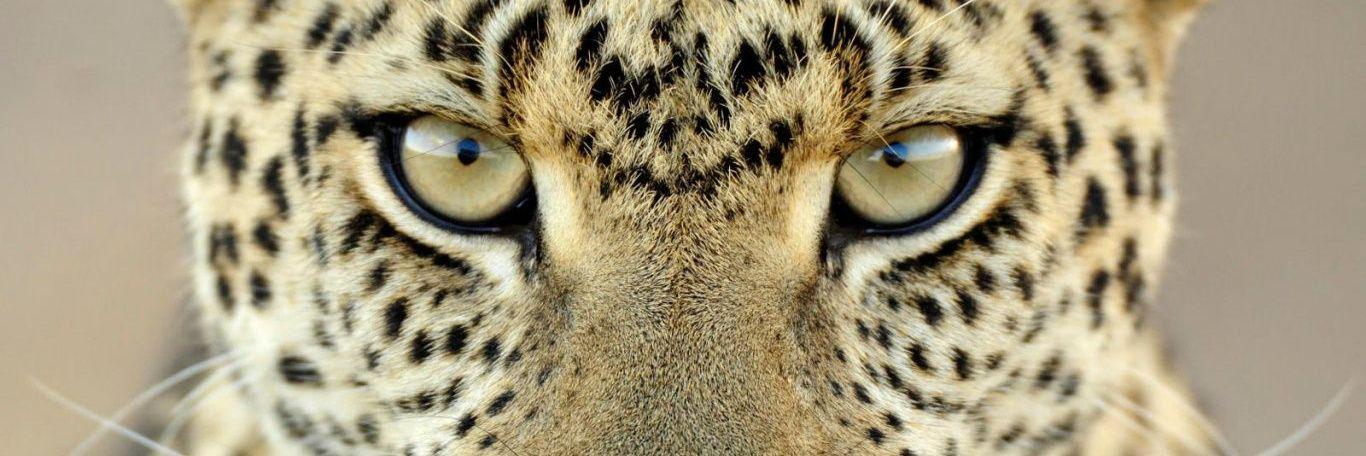 MariaAsperilla's profile banner image