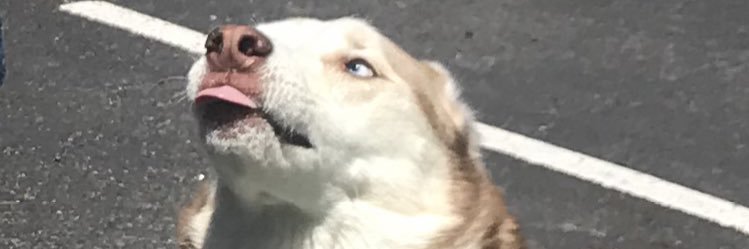 beckermjulia's profile banner image