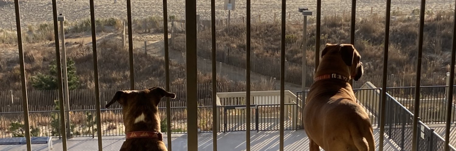 Loweman5's profile banner image