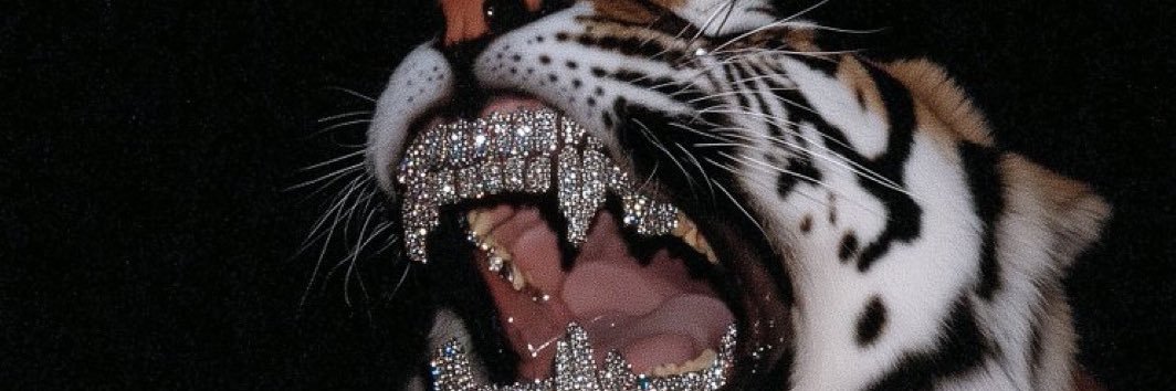 day_moan's profile banner image