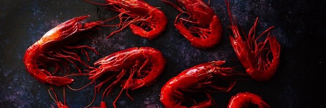 fineandwild's profile banner image
