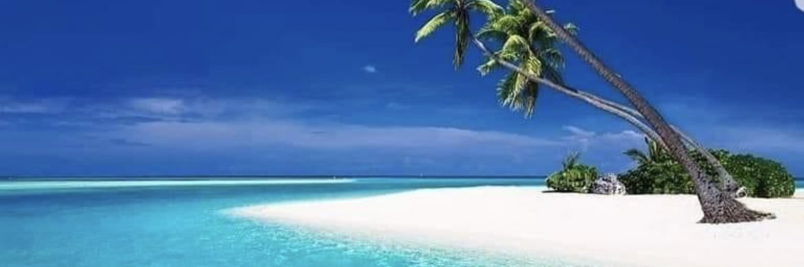 SpringersBar's profile banner image