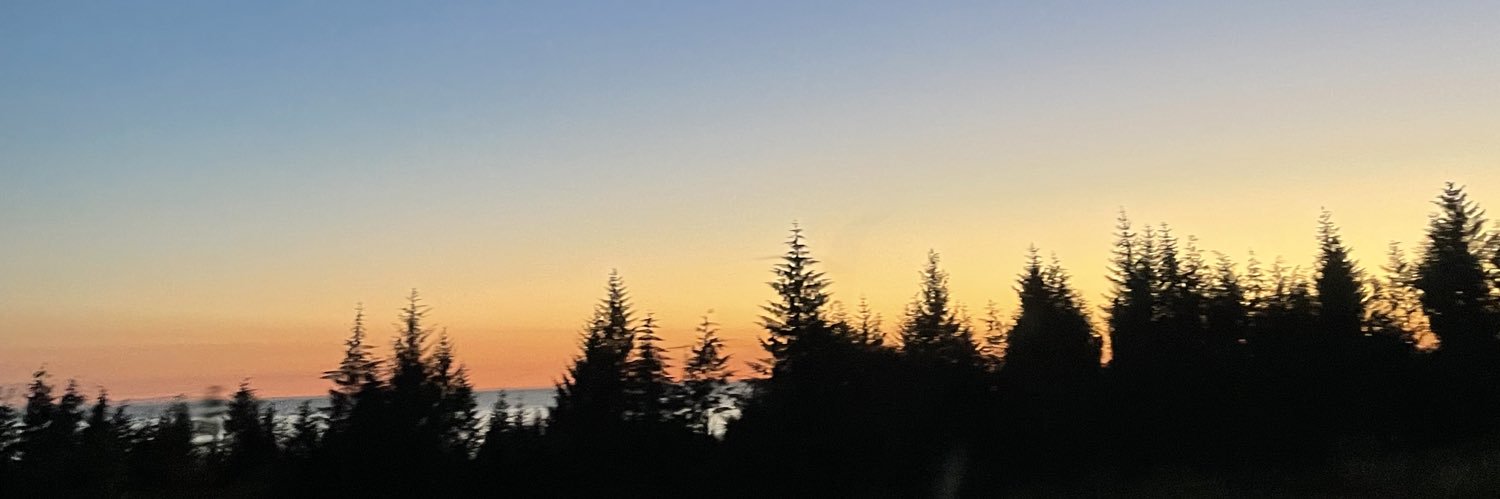 APennay's profile banner image