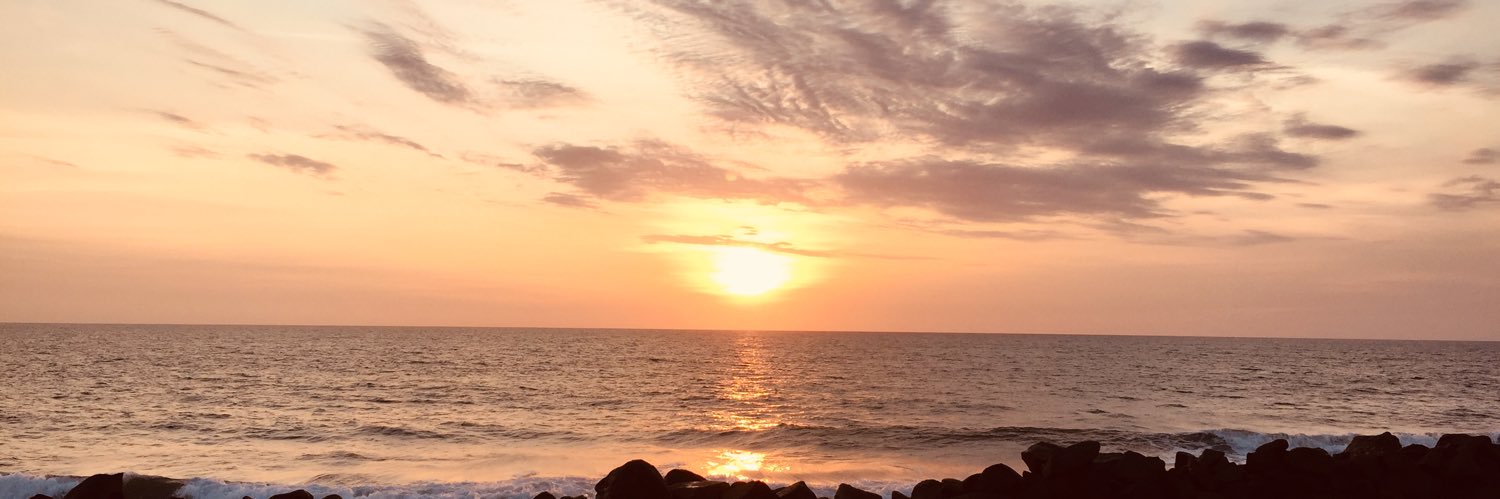 FavaPucca's profile banner image