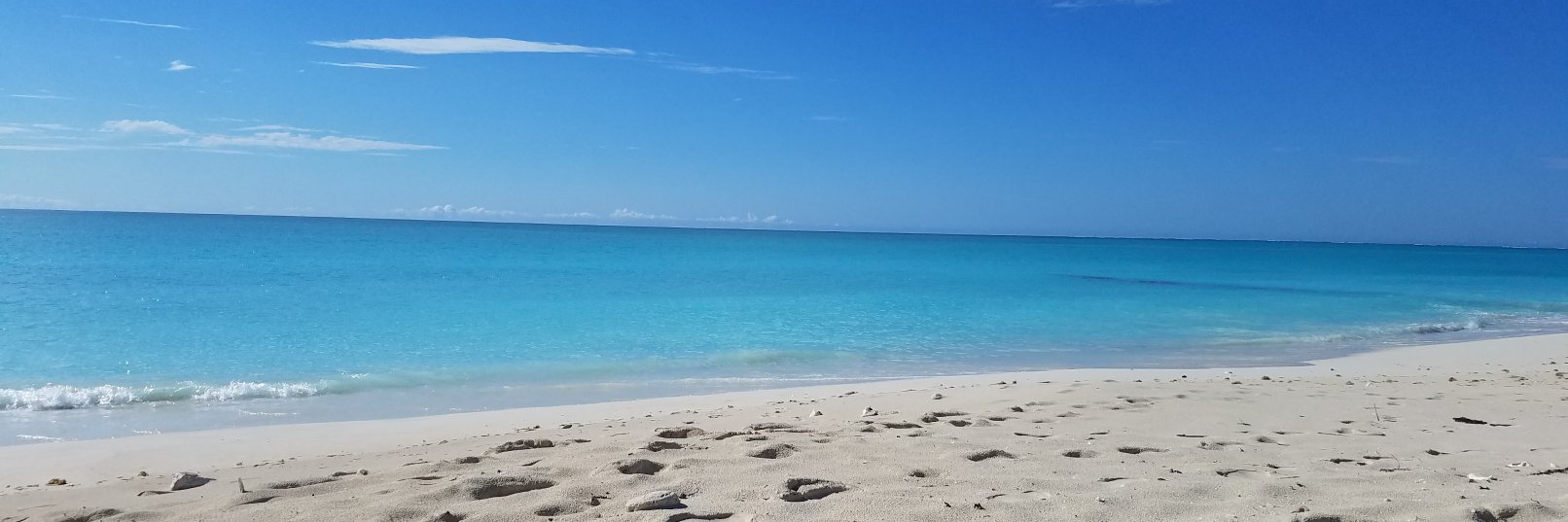 kellydrobason's profile banner image