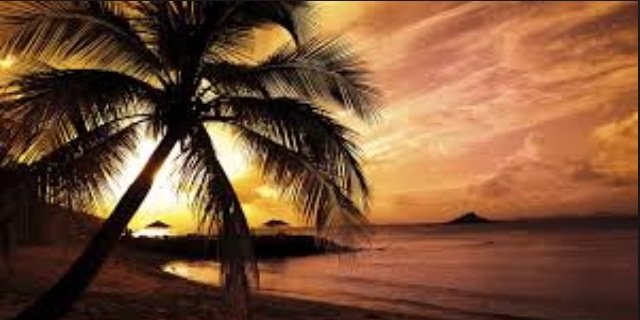 DesereeJohnson's profile banner image