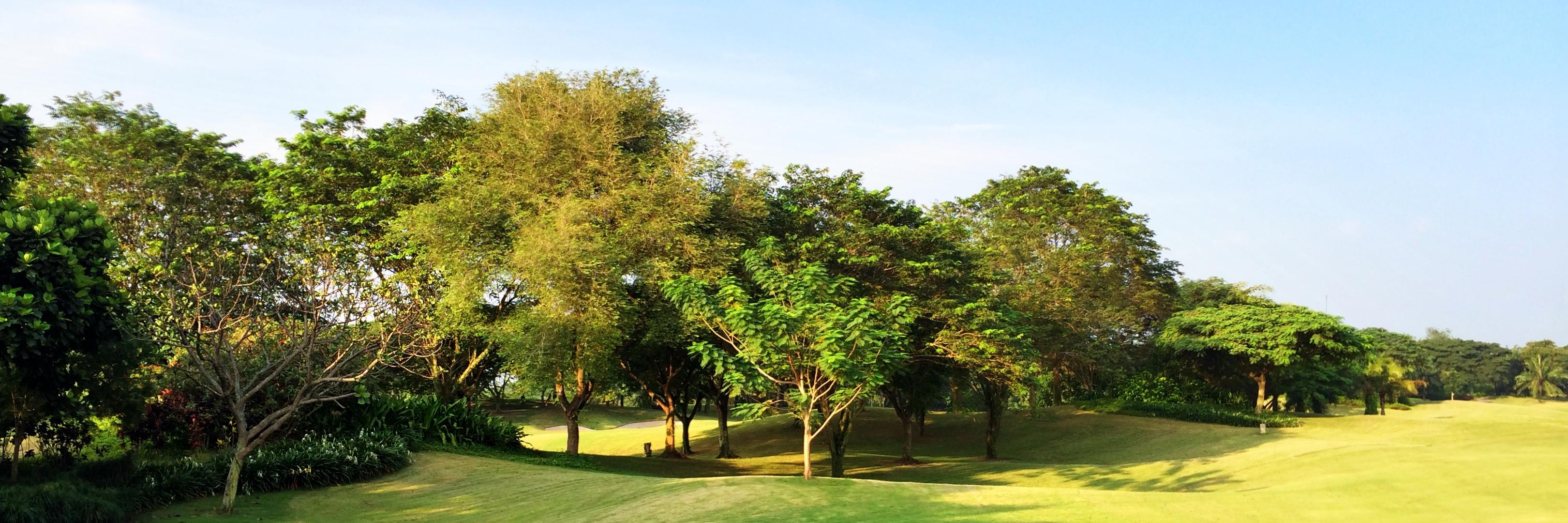 Alpha JWC Ventures banner