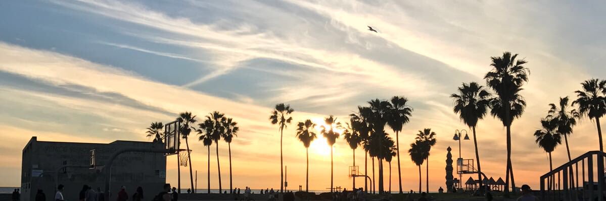 stuart_russ6's profile banner image
