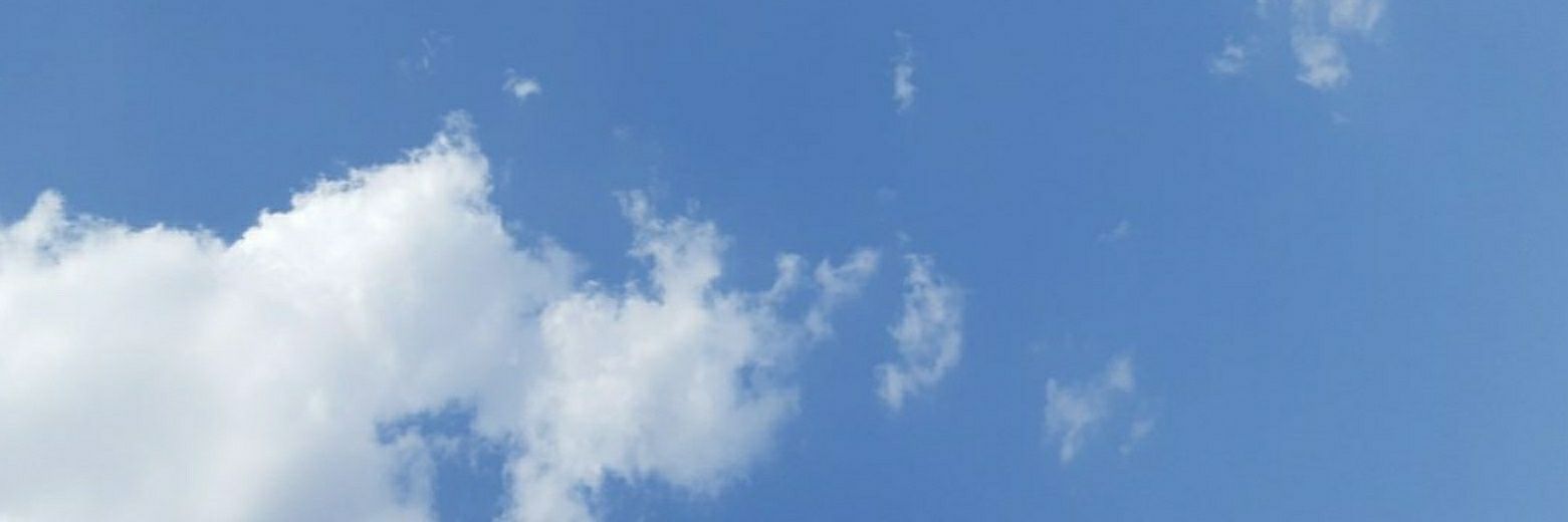 LetiLoureda's profile banner image