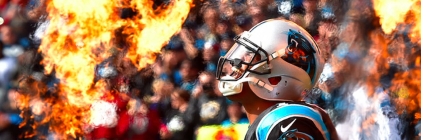 zgatto's profile banner image